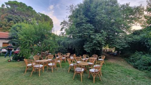 photo_2024-06-14_00-40-19