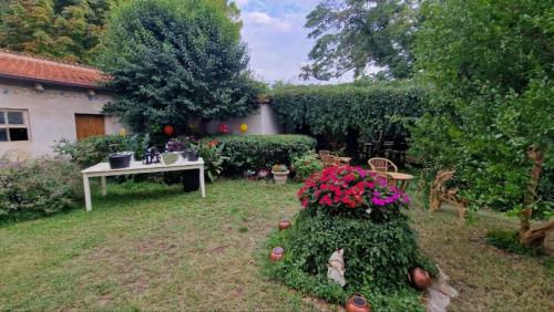 photo_2024-06-14_00-40-29